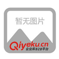 山東新宇牧業供300-500斤育肥西門塔爾牛(圖)